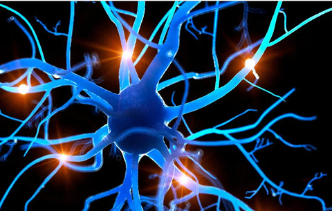 Inte bara högklackat – så kan dina vardagsskor ge dig Mortons neurom