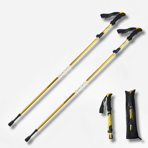 ErgiloPole - Foldable hiking pole