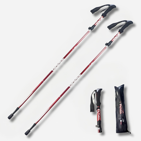 ErgiloPole - Foldable hiking pole