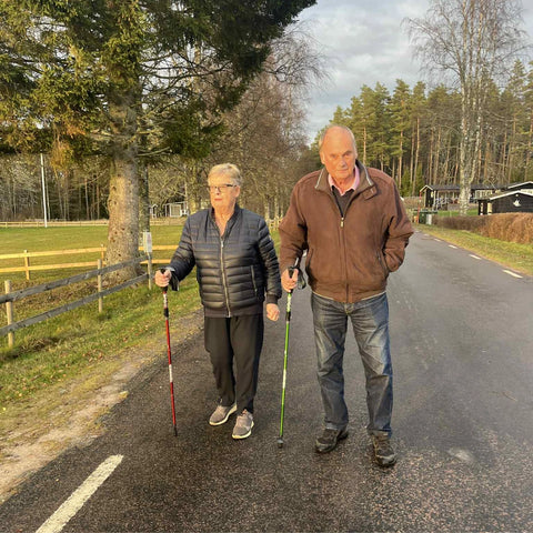 ErgiloPole – Sammenklappelig vandrestav